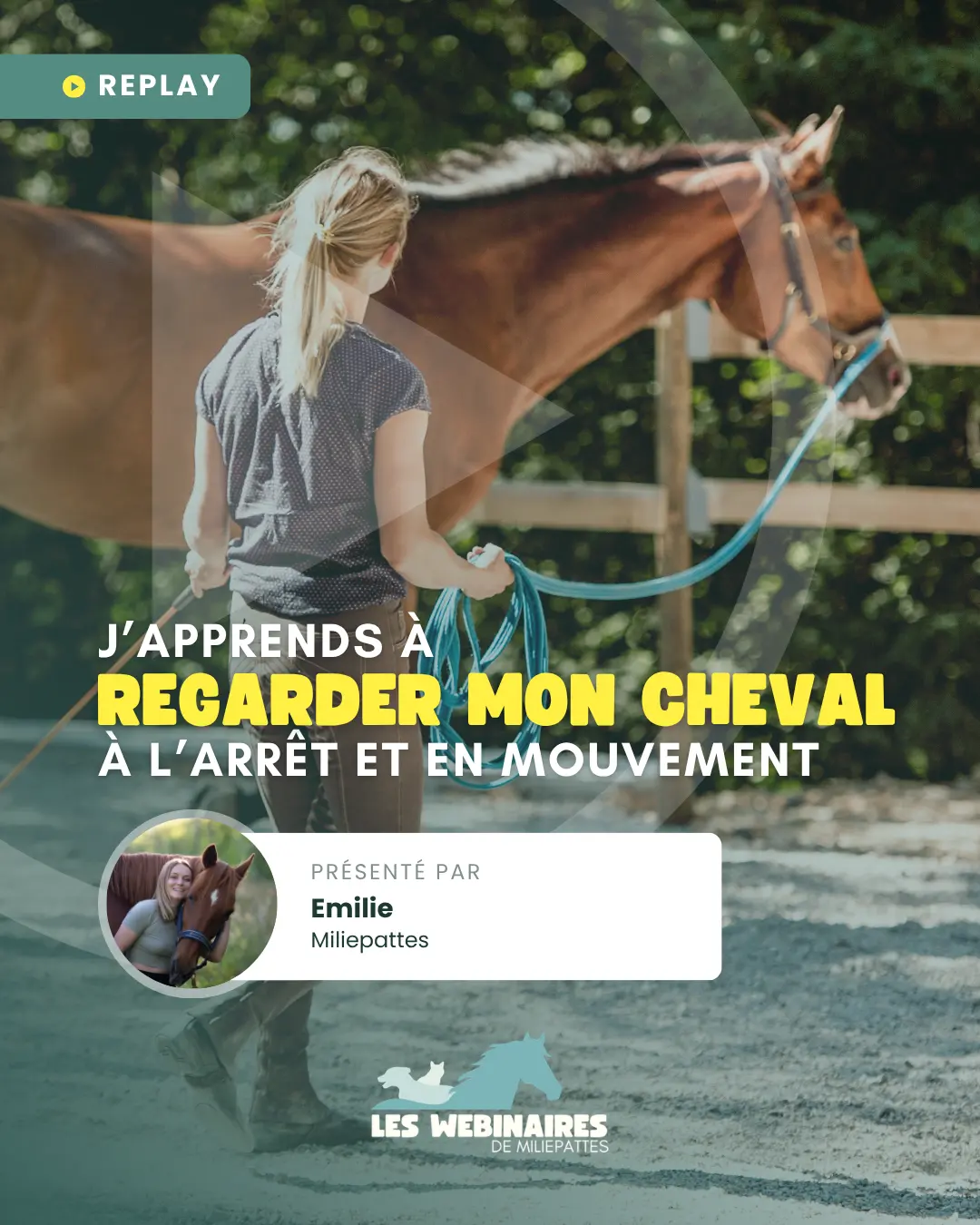 Tu observes quoi quand tu vois un cheval se déplacer ? Miliepattes te délivre une boîte à outils méthodique pour structurer ton regard, repérer les signaux clés et ne plus passer à côté des détails.