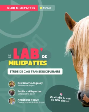 Trois cerveaux pour un regard nouveau sur vos problématiques. Le lab de Miliepattes, c'est une soirée d'étude de cas trans-disciplinaire avec une vétérinaire, une comportementaliste et Miliepattes pour réfléchir ensemble et explorer des solutions à vos problèmes. Soirée spéciale, réservée aux membres du Club Miliepattes.