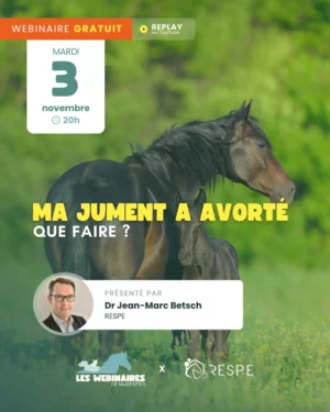 L'avortement chez la jument est toujours une situation difficile et parfois le signe d'une maladie infectieuse. Quels sont les premiers réflexes à adopter ? Quand faut-il s'inquiéter ? Dr Jean-Marc Betsch t'aide à comprendre les principales causes d'avortement et les mesures à mettre en place pour protéger ton élevage.