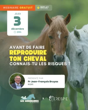 Faire reproduire son cheval demande quelques précautions. Quelles sont les principales maladies de la reproduction ? Comment se transmettent-elles et comment les prévenir ? Jean-François Bruyas t'aide à comprendre les bons réflexes pour protéger les chevaux reproducteurs.