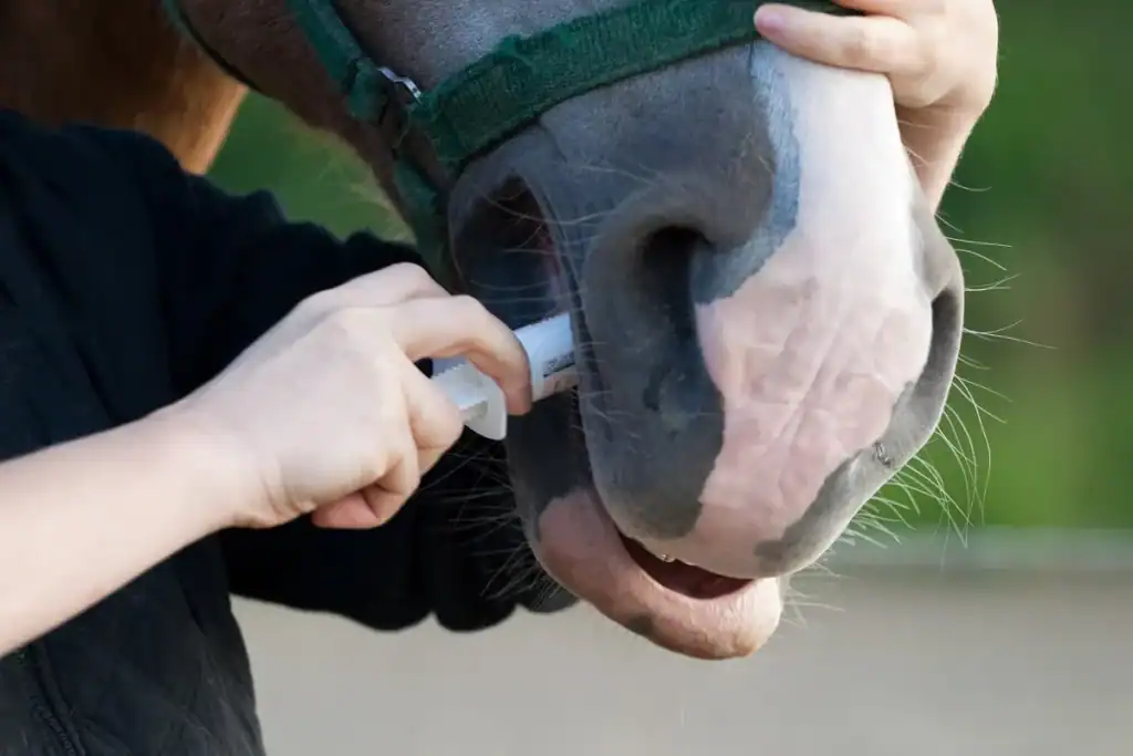 Protocole de vermifugation du cheval adulte au pré.