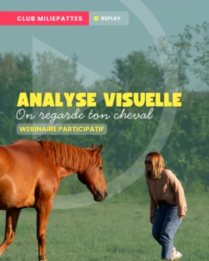 Une fois par trimestre, une soirée d’analyse visuelle est organisée pour les membres du club Miliepattes. Le concept est simple : tu fournis des photos et des vidéos de ton cheval et on l’analyse ensemble. Tu peux bien sûr juste venir pour entraîner ton œil !