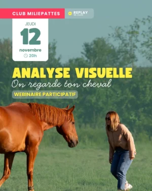 Une fois par trimestre, une soirée d’analyse visuelle est organisée pour les membres du club Miliepattes. Le concept est simple : tu fournis des photos et des vidéos de ton cheval et on l’analyse ensemble. Tu peux bien sûr juste venir pour entraîner ton œil ! Avant de participer à cette soirée, il t'est recommandé de visionner le webinaire théorique sur l'analyse visuelle pour qu'on puisse se baser sur les mêmes structures. Il est ici ! L'objectif de cette soirée club, c'est de s'entraîner.
