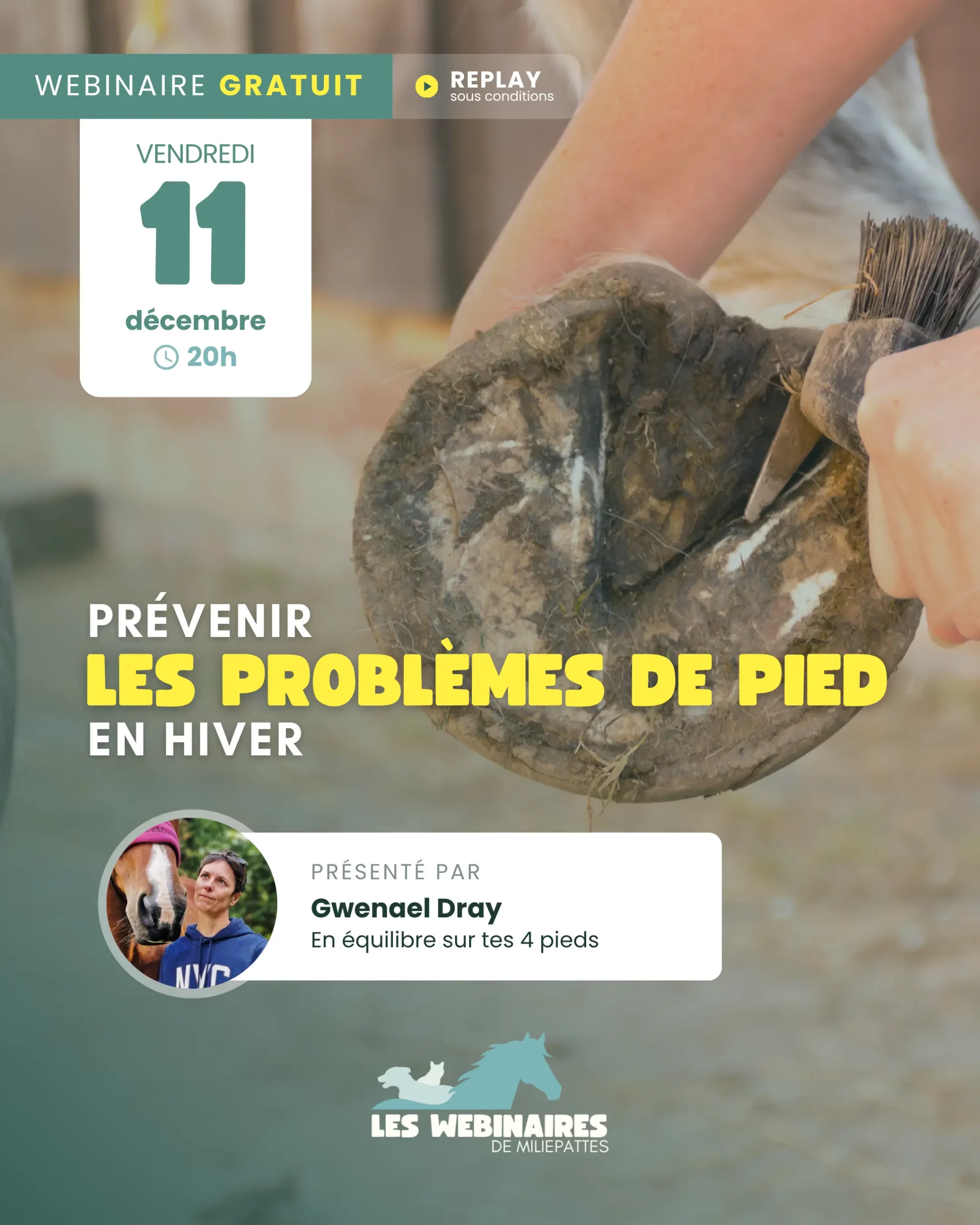 Avec l'hiver, arrive l'humidité et les galères pour les pieds de nos chevaux. Rejoins Gwenael Dray pour développer une vraie routine et éviter les problèmes.