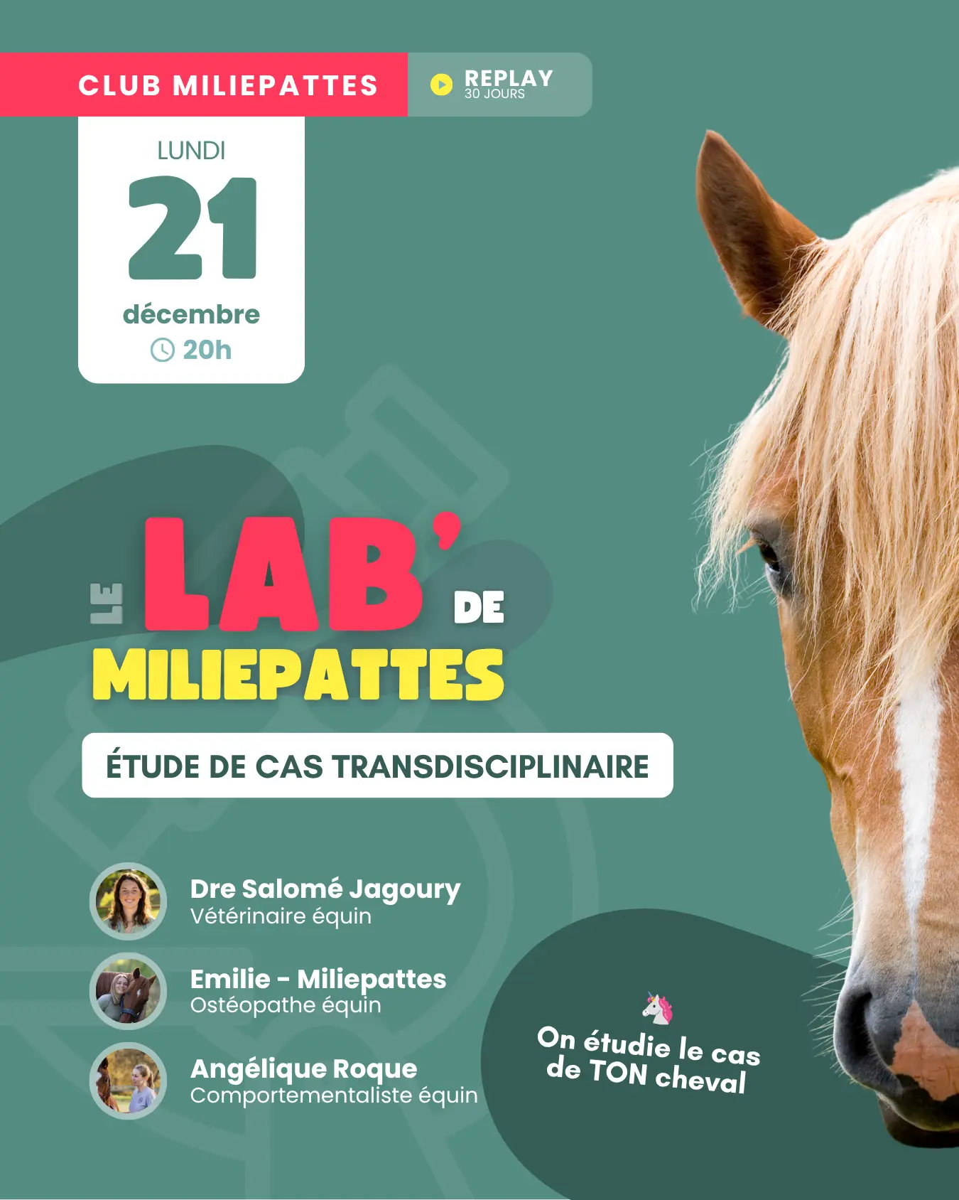 Trois cerveaux pour un regard nouveau sur vos problématiques. Le lab de Miliepattes, c'est une soirée d'étude de cas trans-disciplinaire avec une vétérinaire, une comportementaliste et Miliepattes pour réfléchir ensemble et explorer des solutions à vos problèmes. Soirée spéciale, réservée aux membres du Club Miliepattes.